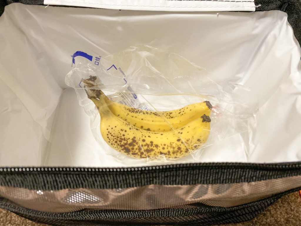 東急ハンズで買った保冷バッグ
