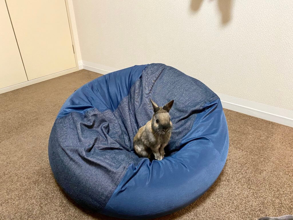 ニトリ ソファークッション